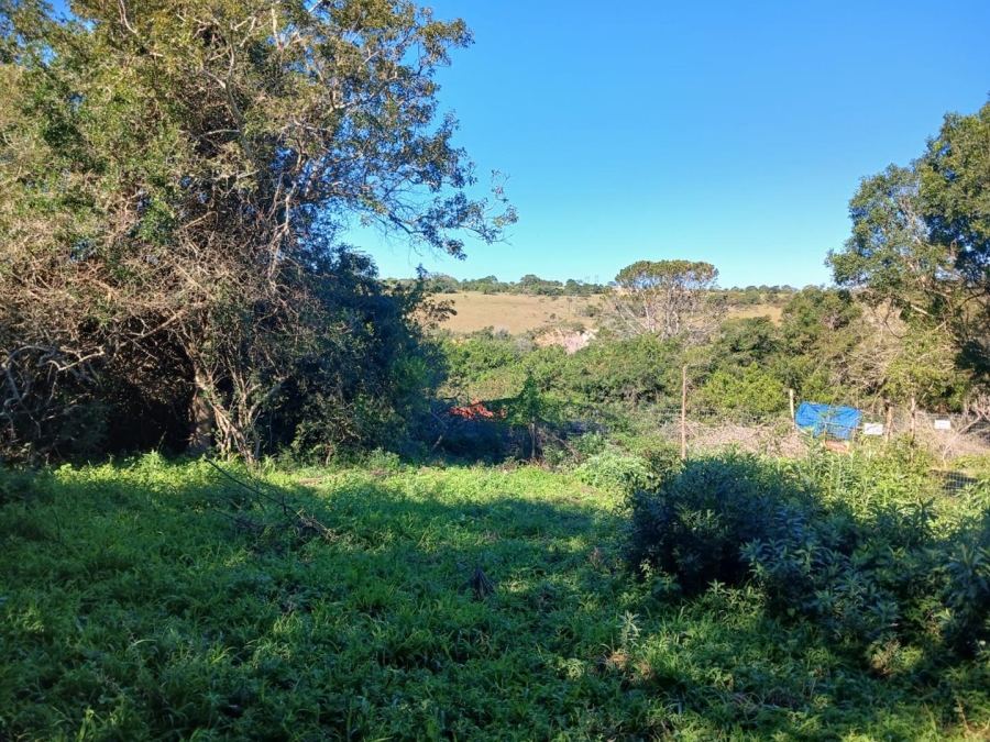 0 Bedroom Property for Sale in Bathurst Eastern Cape